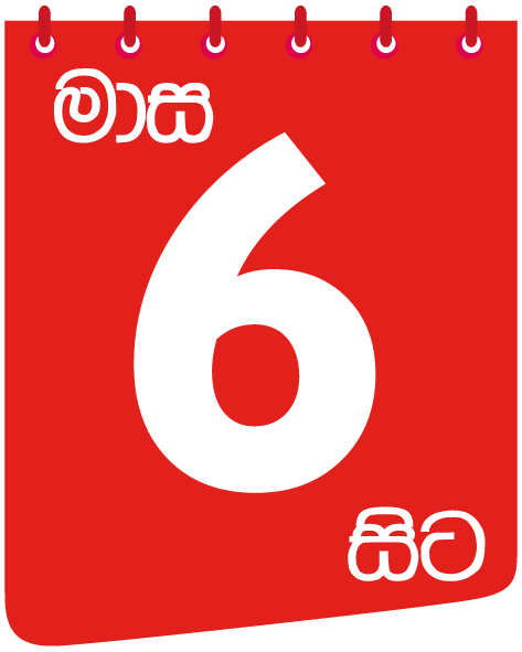 6 months